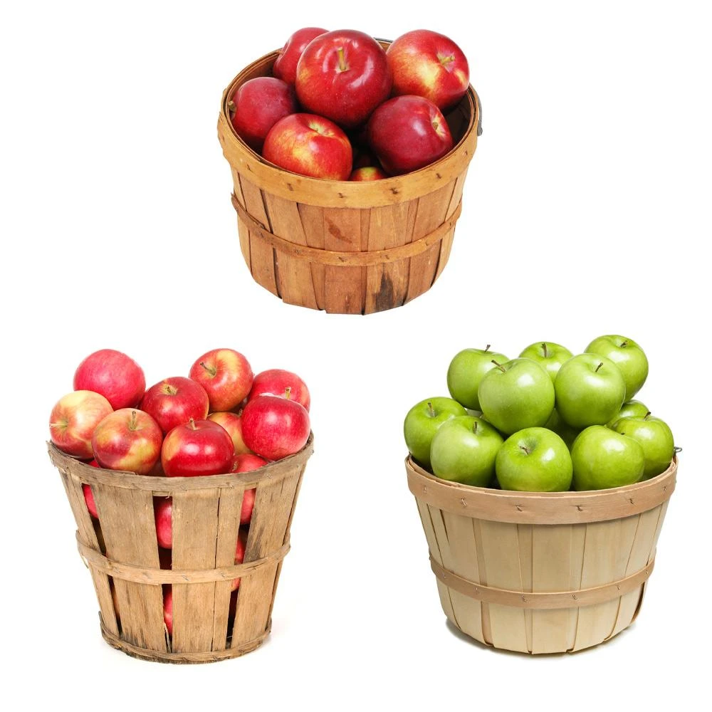 3-in-1 Apple Tree - Image 2