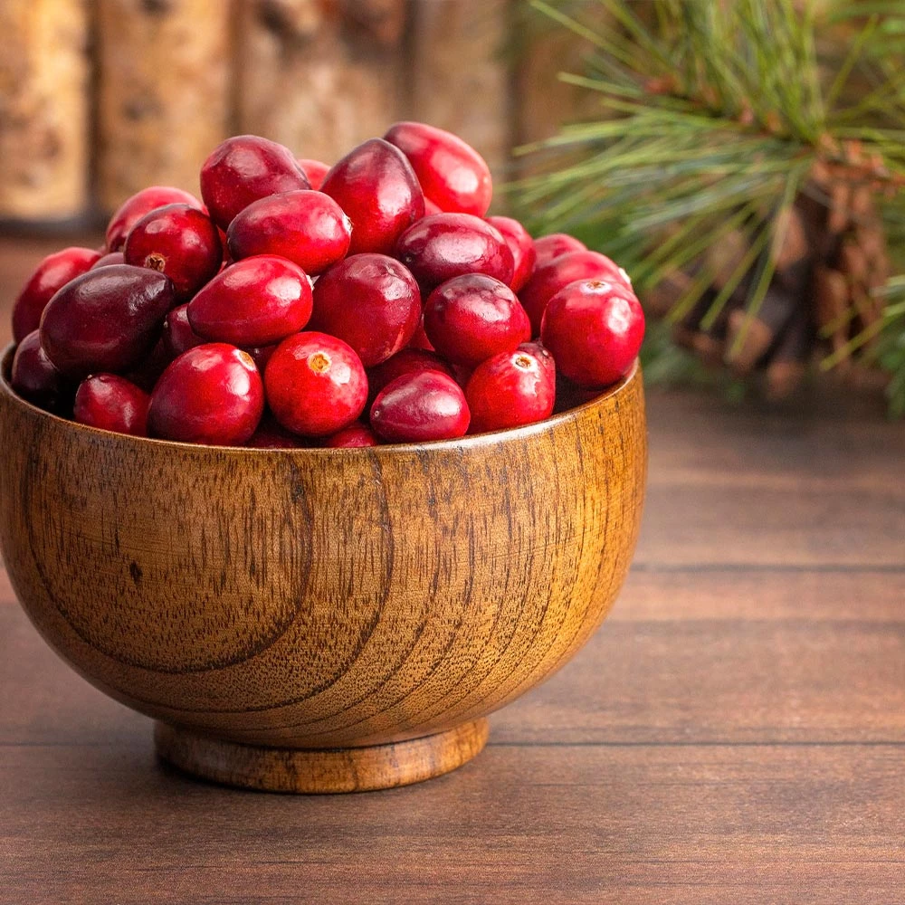 American Cranberry - Image 4