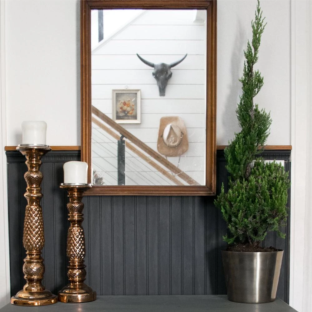 Blue Point Spiral Juniper Gift Plant - Image 2