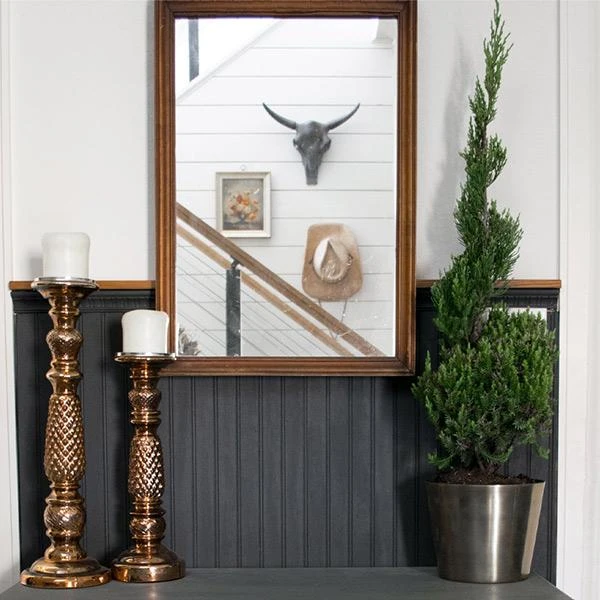 Blue Point Spiral Juniper Gift Plant