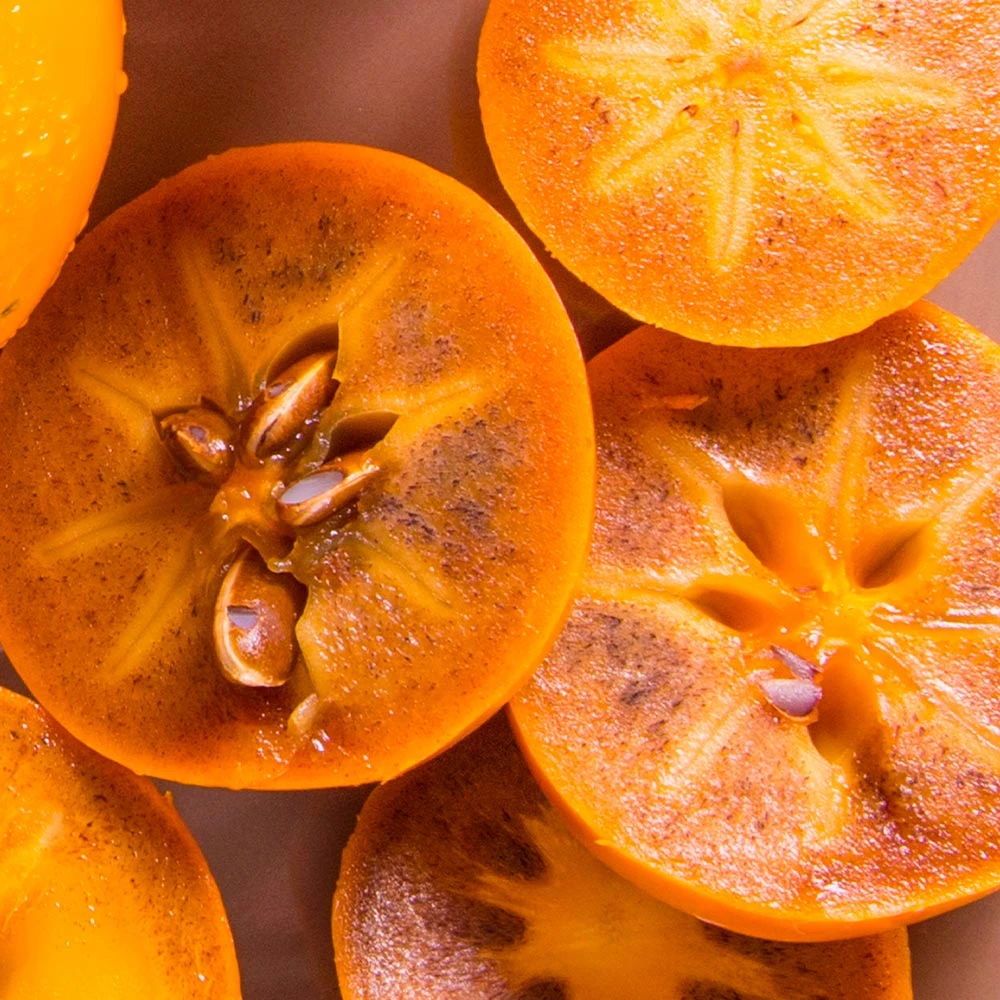 Chocolate Persimmon Tree - Image 3