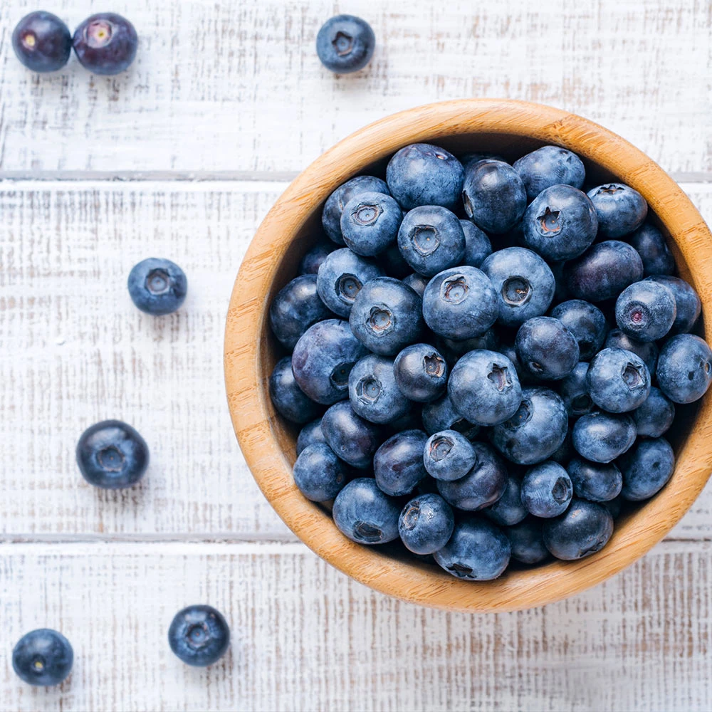 Climax Blueberry - USDA Organic - Image 5