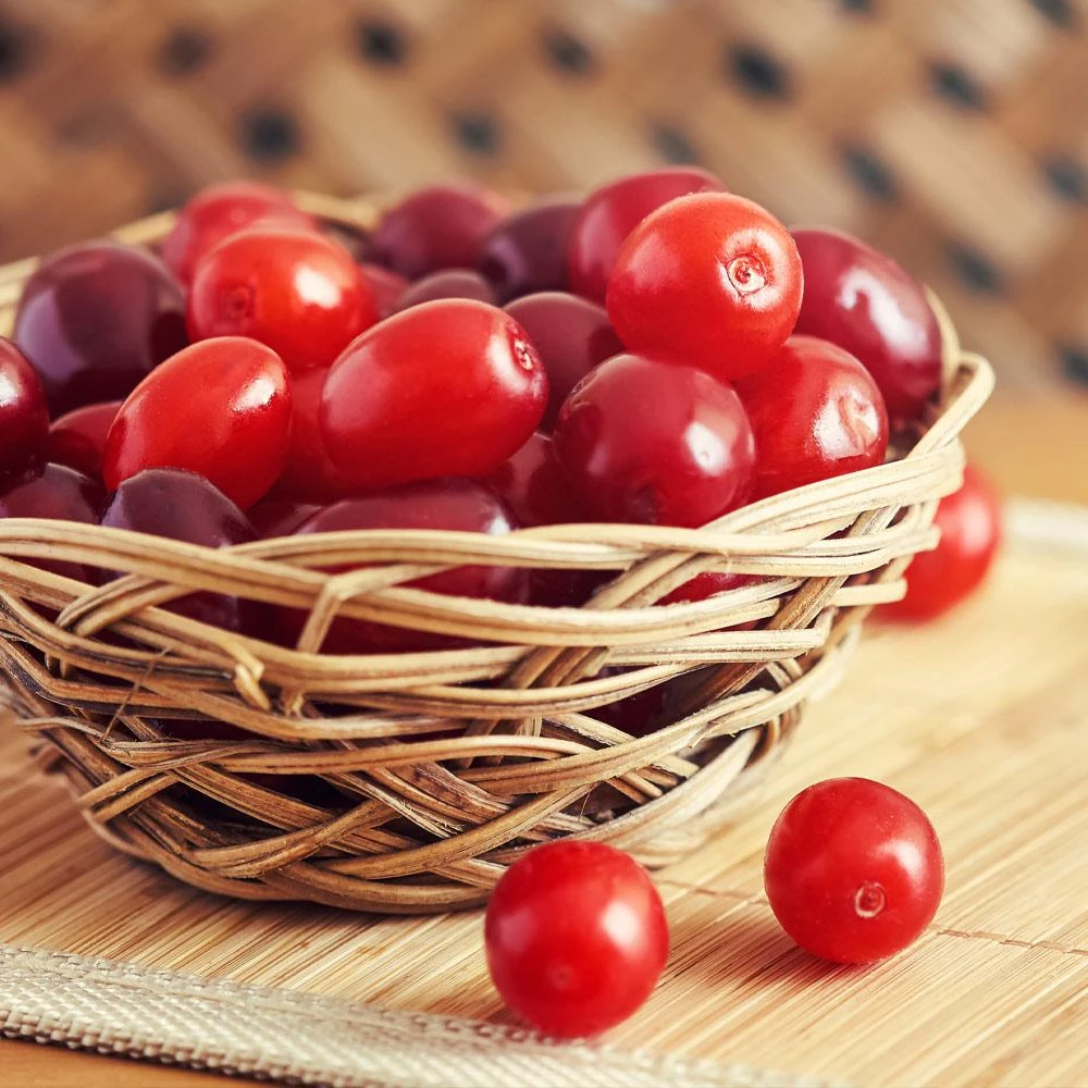 Cornelian Cherry Dogwood Tree - Image 4