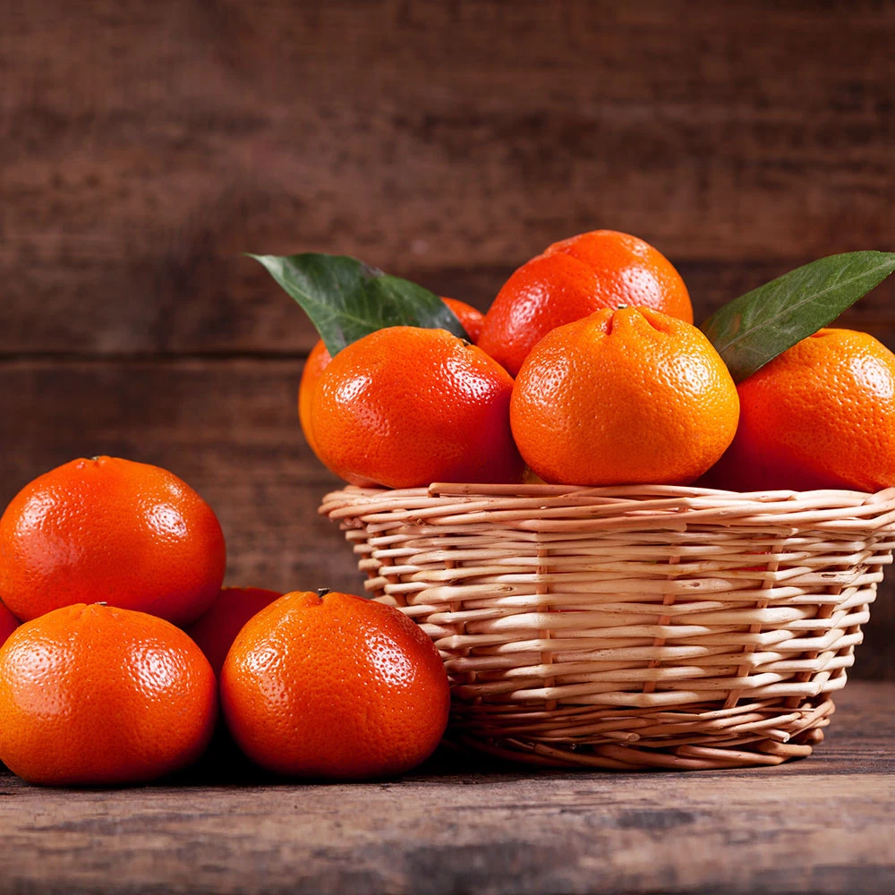 Dancy Tangerine Tree - Image 4