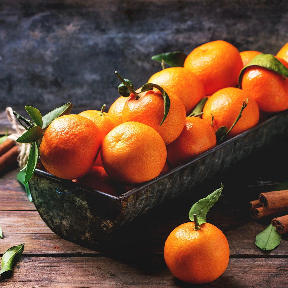 Pixie Mandarin Tree - Image 4