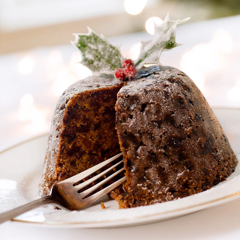 Satsuma Plum Tree - Image 6